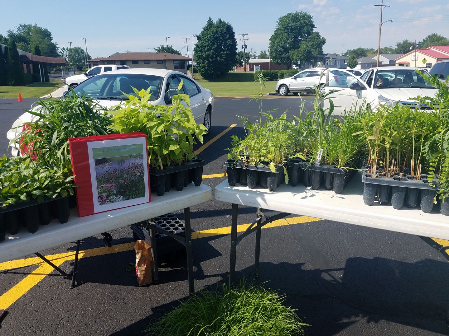 Native Plant Sale Coles County Soil & Water Conservation District