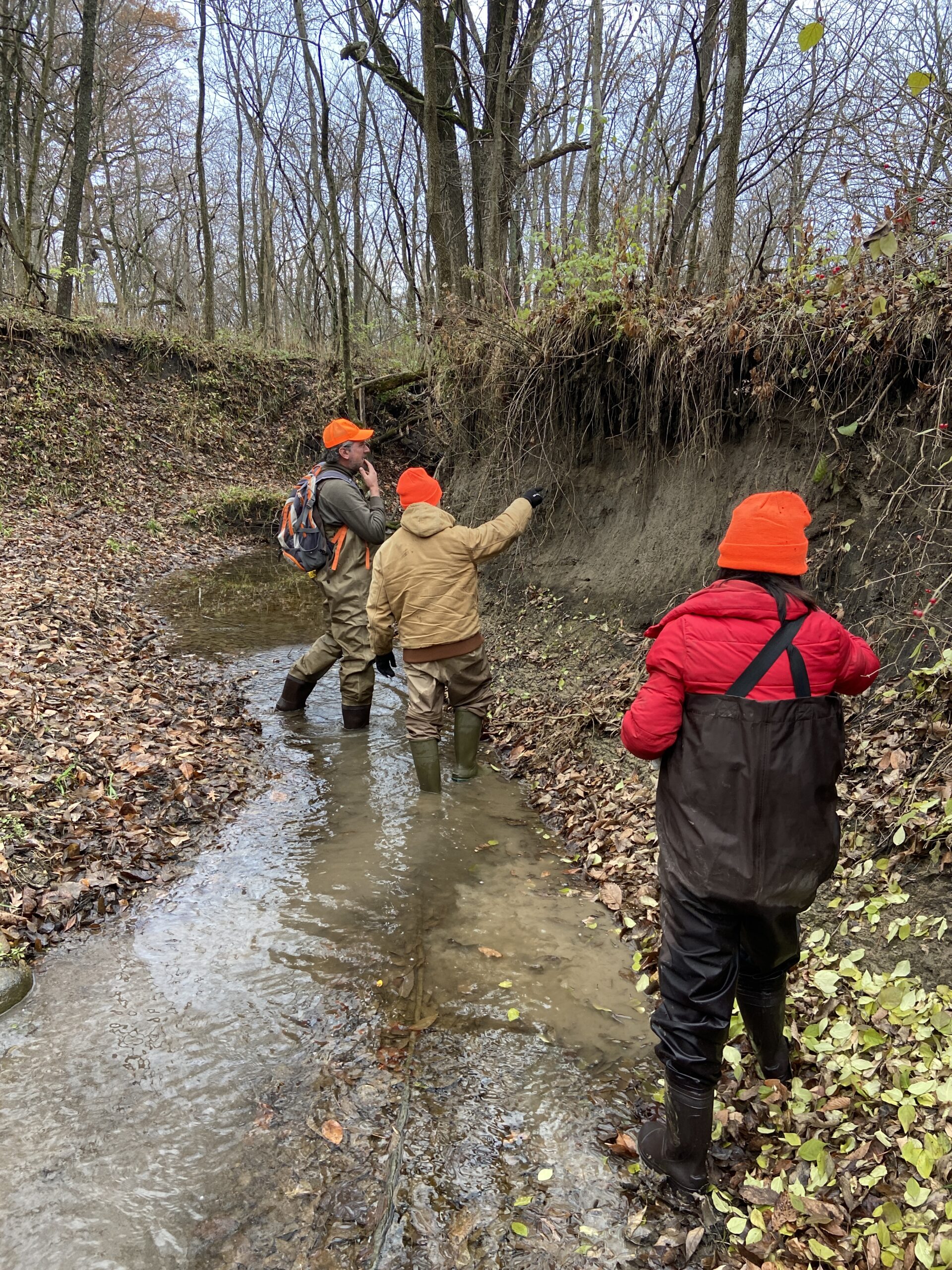 Data was collected by Nothwater Consulting and researchers from the University of Illinois during stream walks in Polecat Creek and it's tributaries.