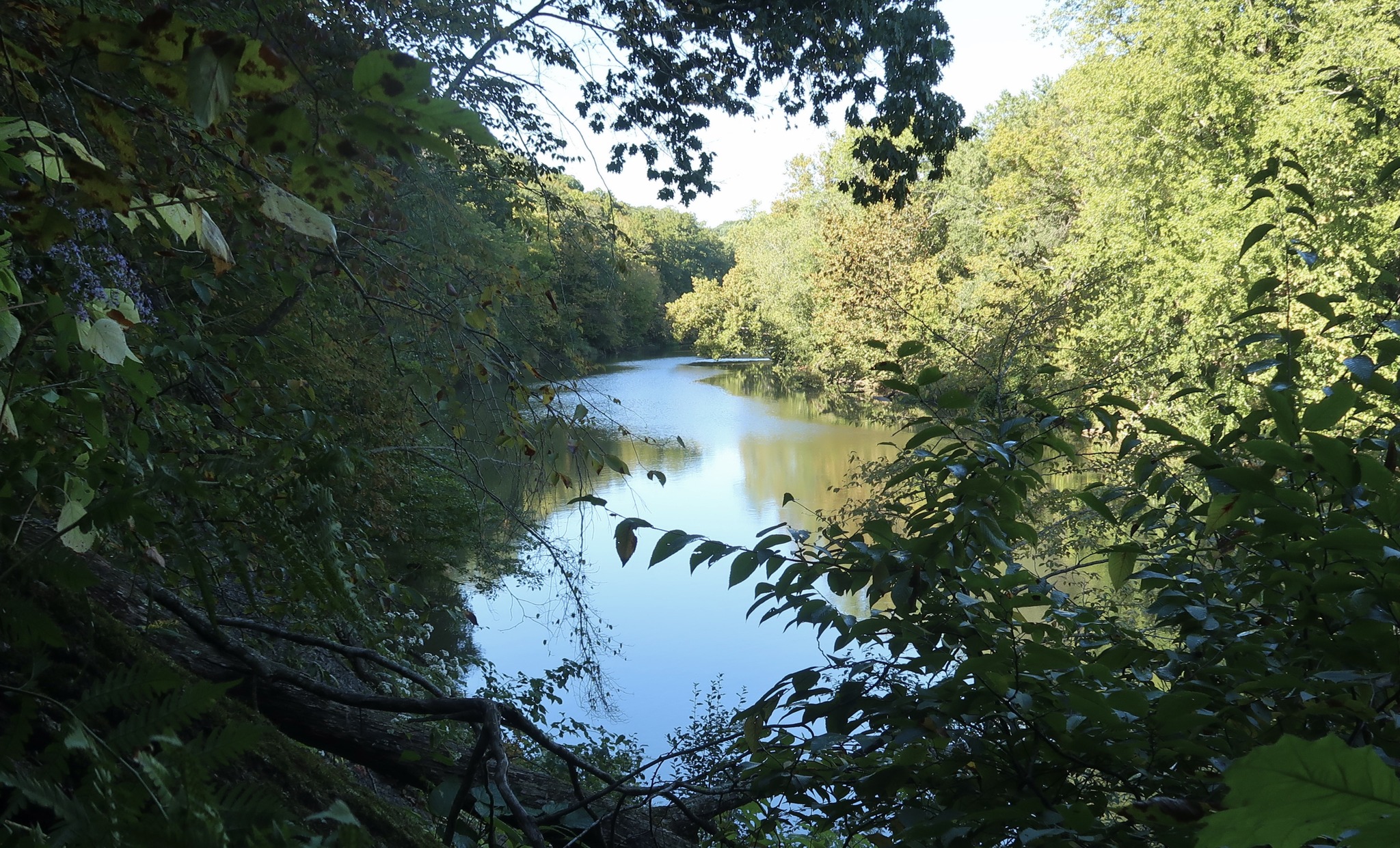 Embarras Watershed Plan Coles County Soil & Water Conservation District